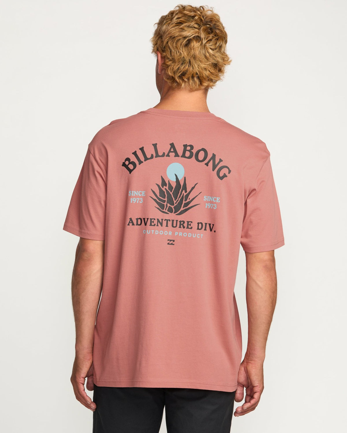 A/Div Agave Tee - Dusty Rose | Billabong