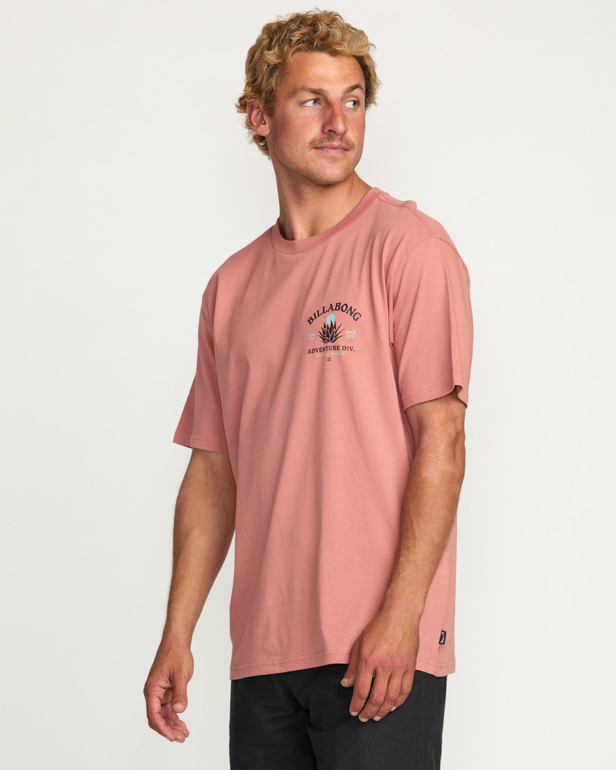 A/Div Agave Tee - Dusty Rose | Billabong