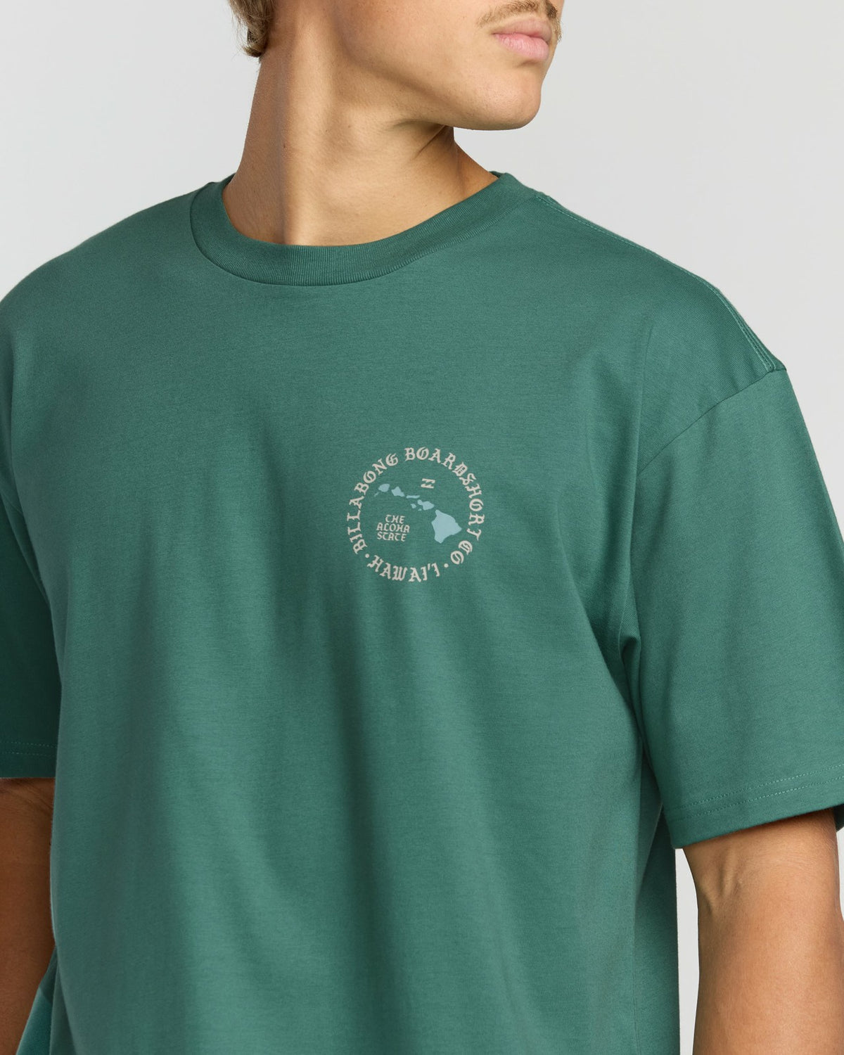 Aloha Island Hi Regular Short Sleeve T-Shirt - Sage Green | Billabong