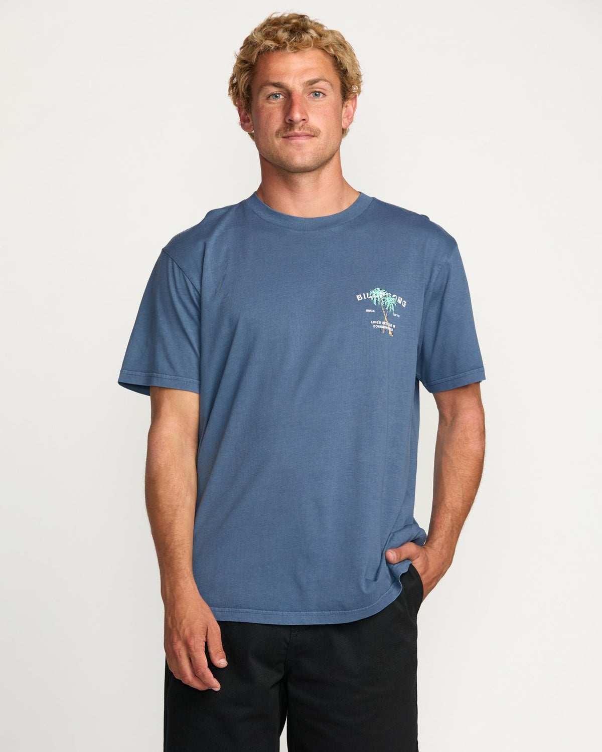 Better Premium Wave Wash Tee - Deep Blue | Billabong