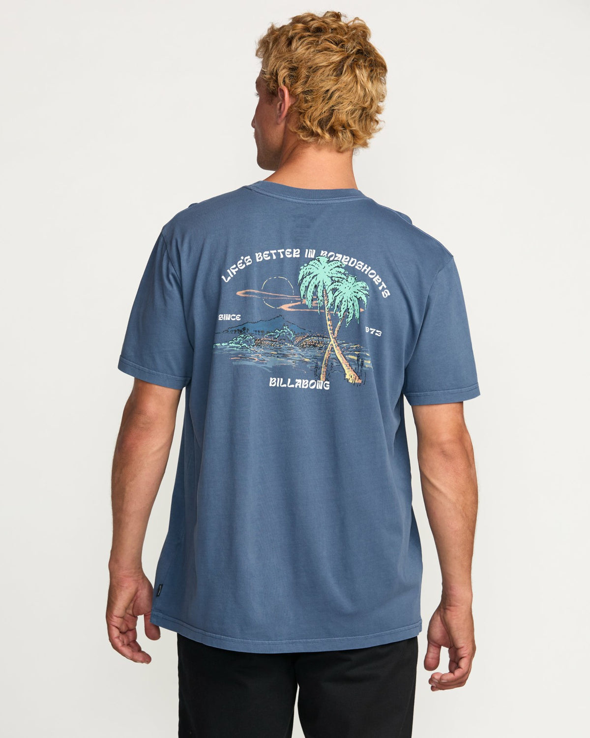 Better Premium Wave Wash Tee - Deep Blue | Billabong
