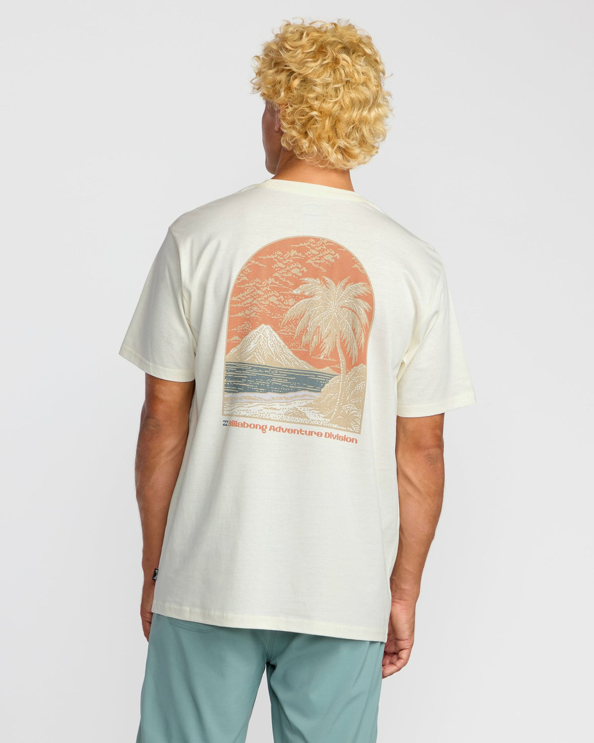 Coastal Range A/Div Short Sleeve T-Shirt - Off White | Billabong