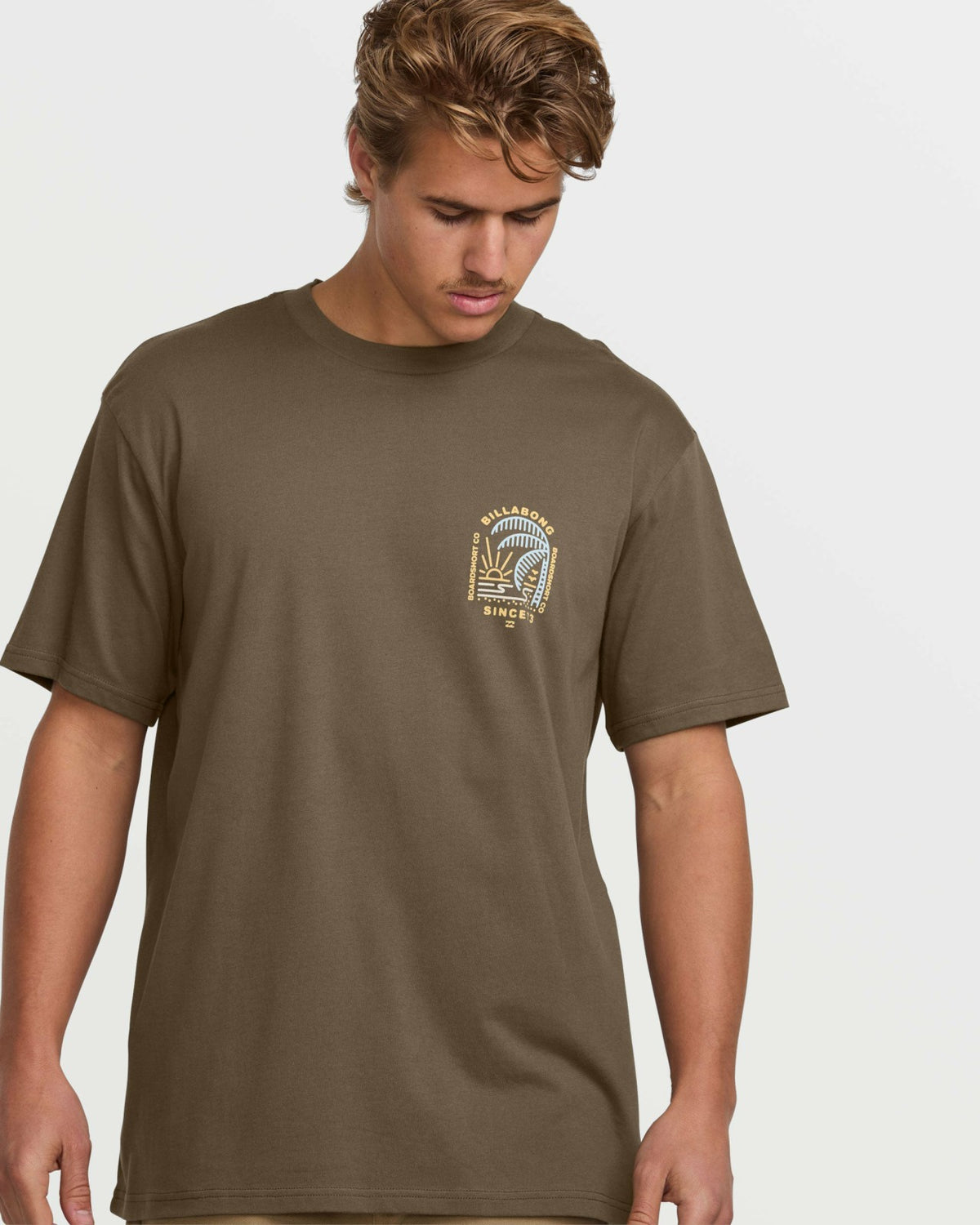 Last Light Premium Tee - Brown | Billabong