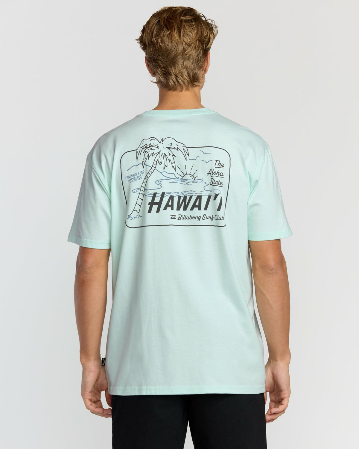 Lounge Hi Premium Short Sleeve T-Shirt - Sea Glass | Billabong