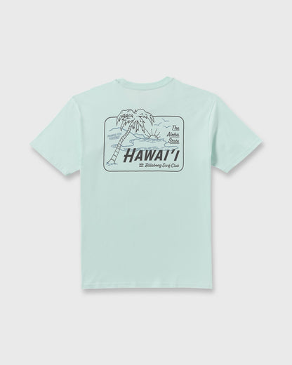 Lounge Hi Premium Short Sleeve T-Shirt - Sea Glass | Billabong