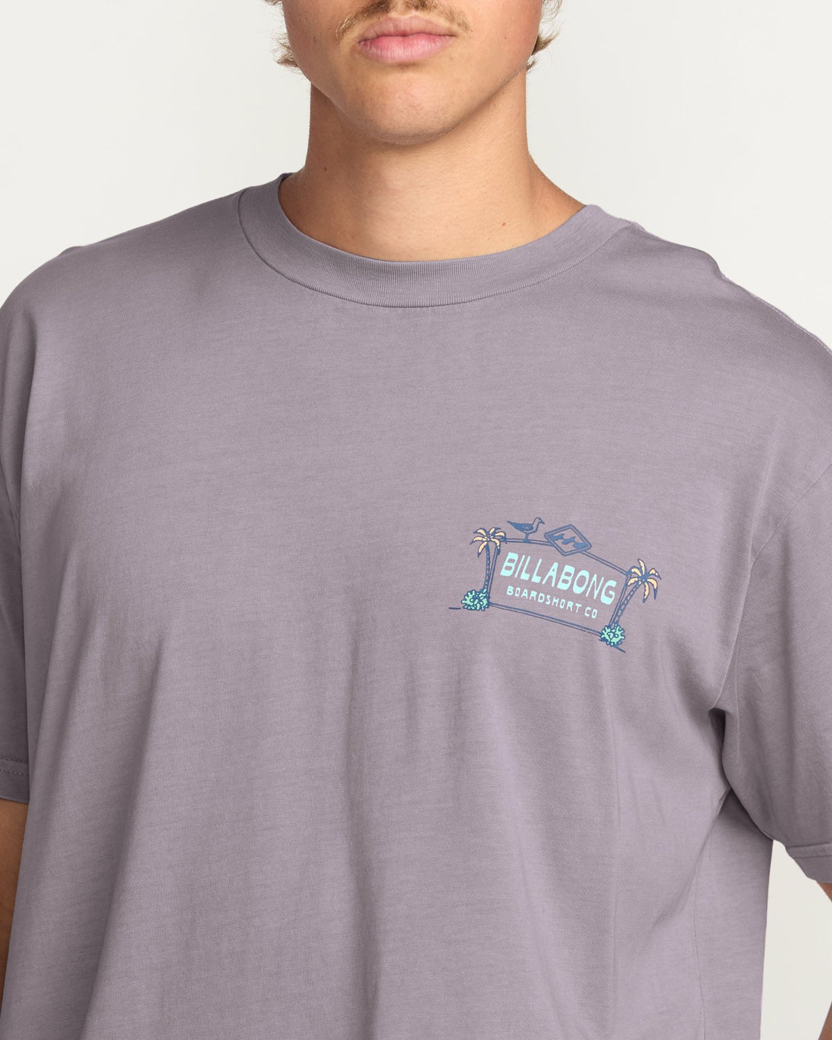 No Vacancy Premium Wave Wash Tee - Light Purple | Billabong
