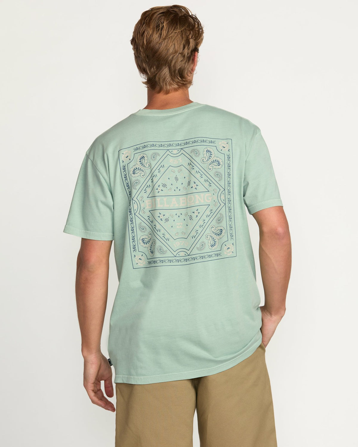 Paise Haze Premium Wave Wash Tee - Mist Green | Billabong