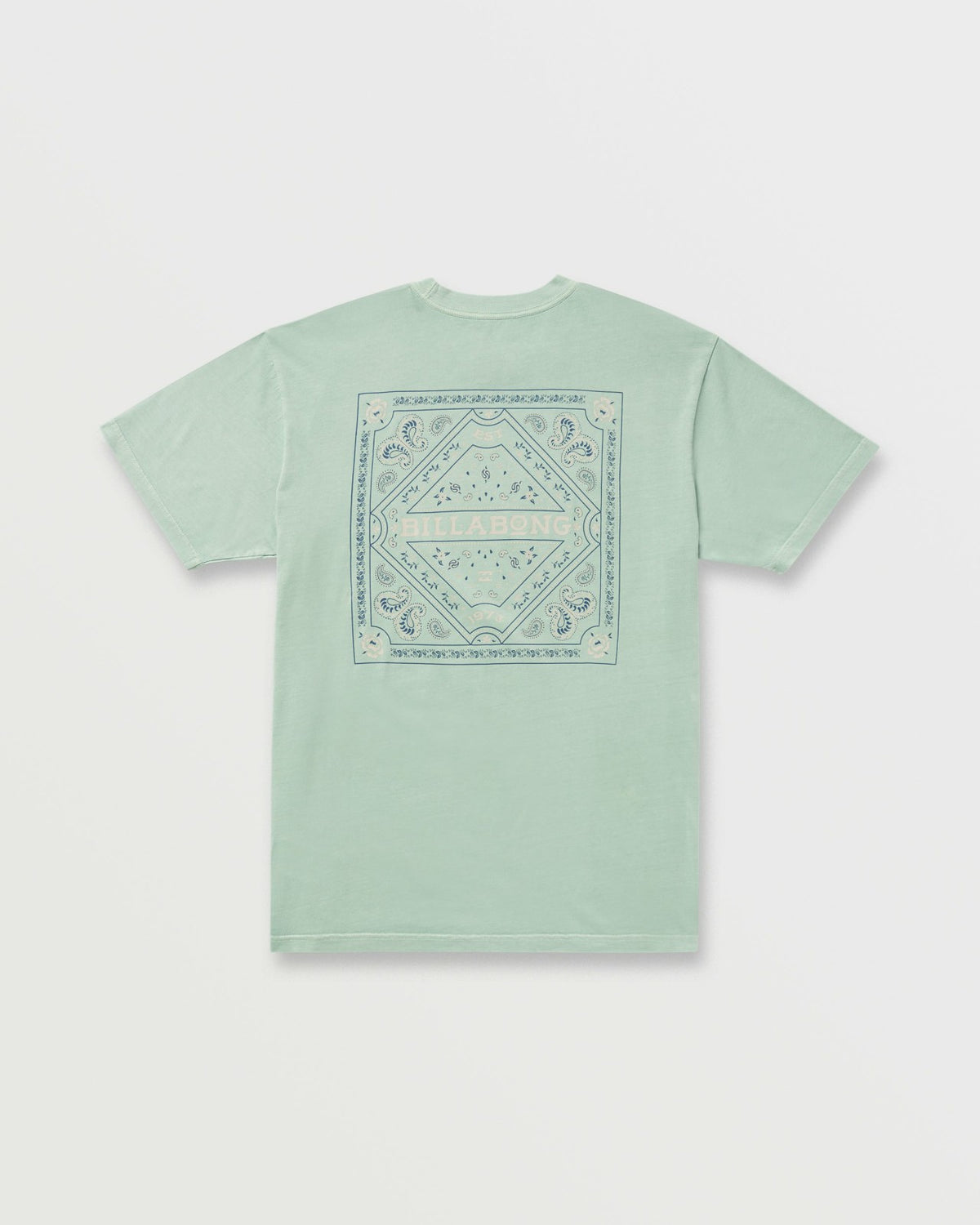 Paise Haze Premium Wave Wash Tee - Mist Green | Billabong