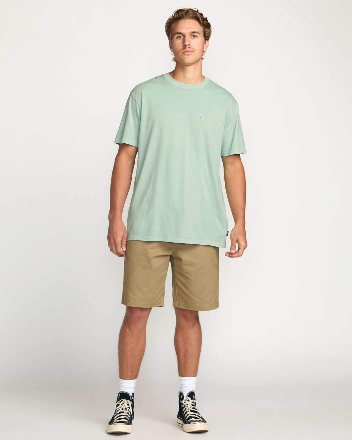 Paise Haze Premium Wave Wash Tee - Mist Green | Billabong