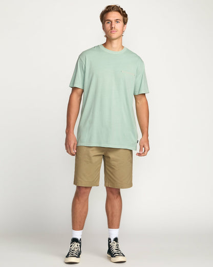Paise Haze Premium Wave Wash Tee - Mist Green | Billabong