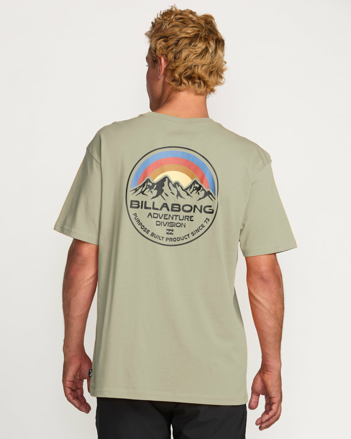 Rockies A/Div Tee - Sage Heather | Billabong