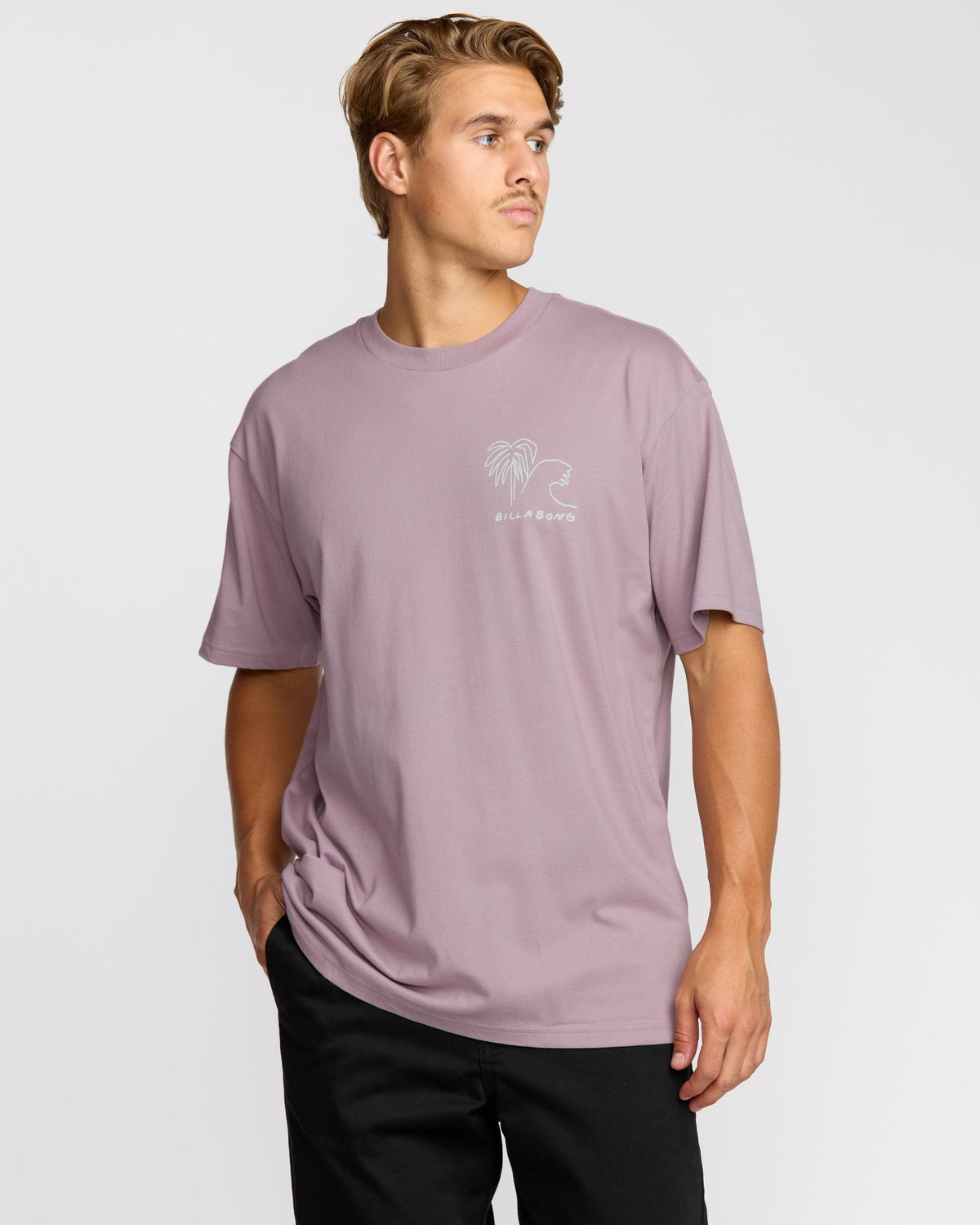 Scenes Regular Short Sleeve T-Shirt - Purple Ash | Billabong
