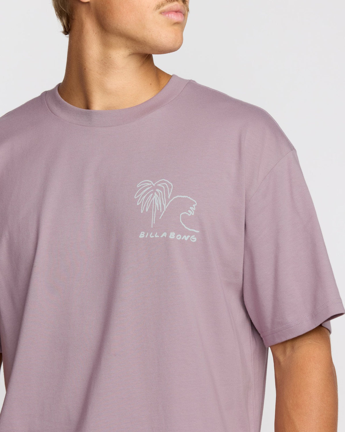 Scenes Regular Short Sleeve T-Shirt - Purple Ash | Billabong