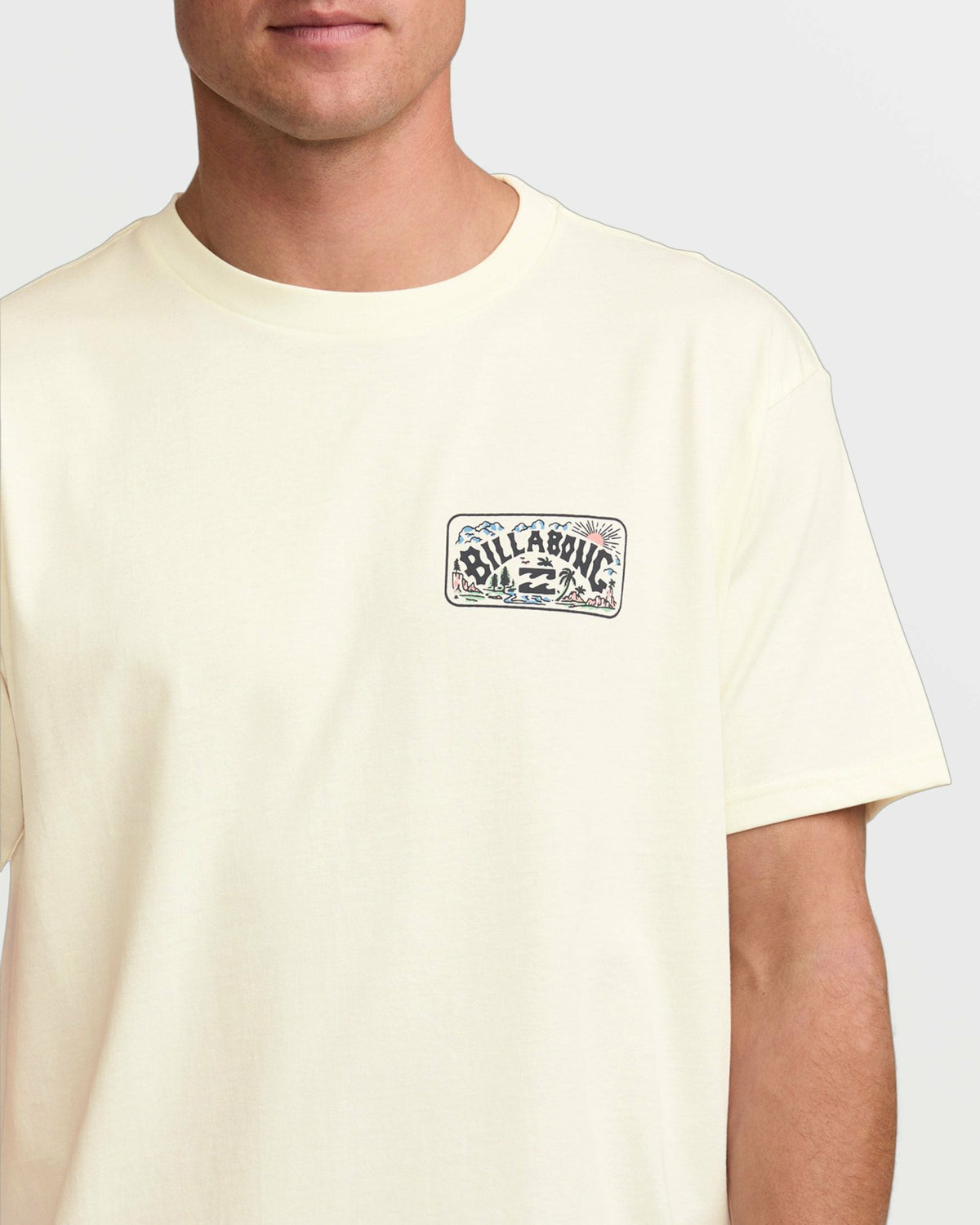 Scenic Arch A/Div Tee - Off White | Billabong