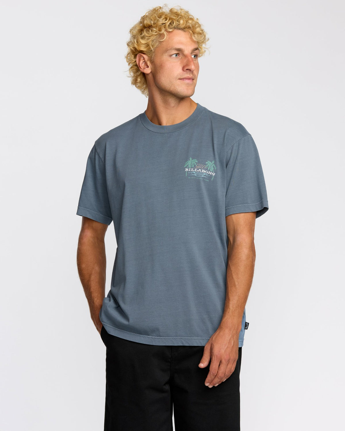 Social Lounge Premium Wave Wash Short Sleeve T-Shirt - Steel Blue | Billabong