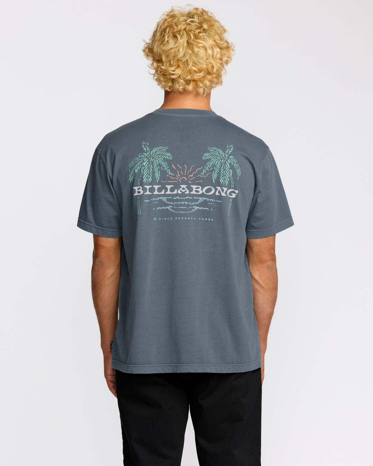 Social Lounge Premium Wave Wash Short Sleeve T-Shirt - Steel Blue | Billabong