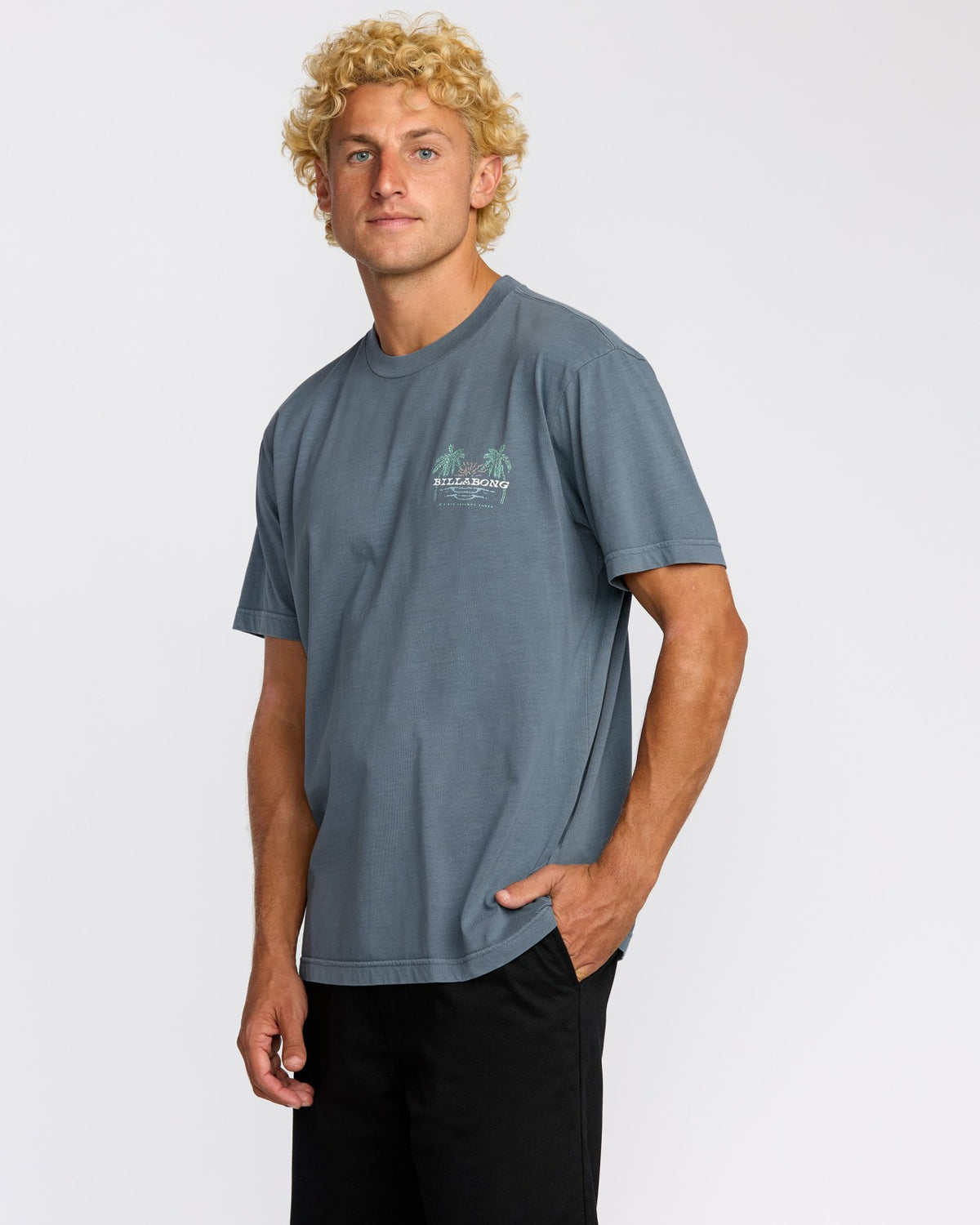 Social Lounge Premium Wave Wash Short Sleeve T-Shirt - Steel Blue | Billabong