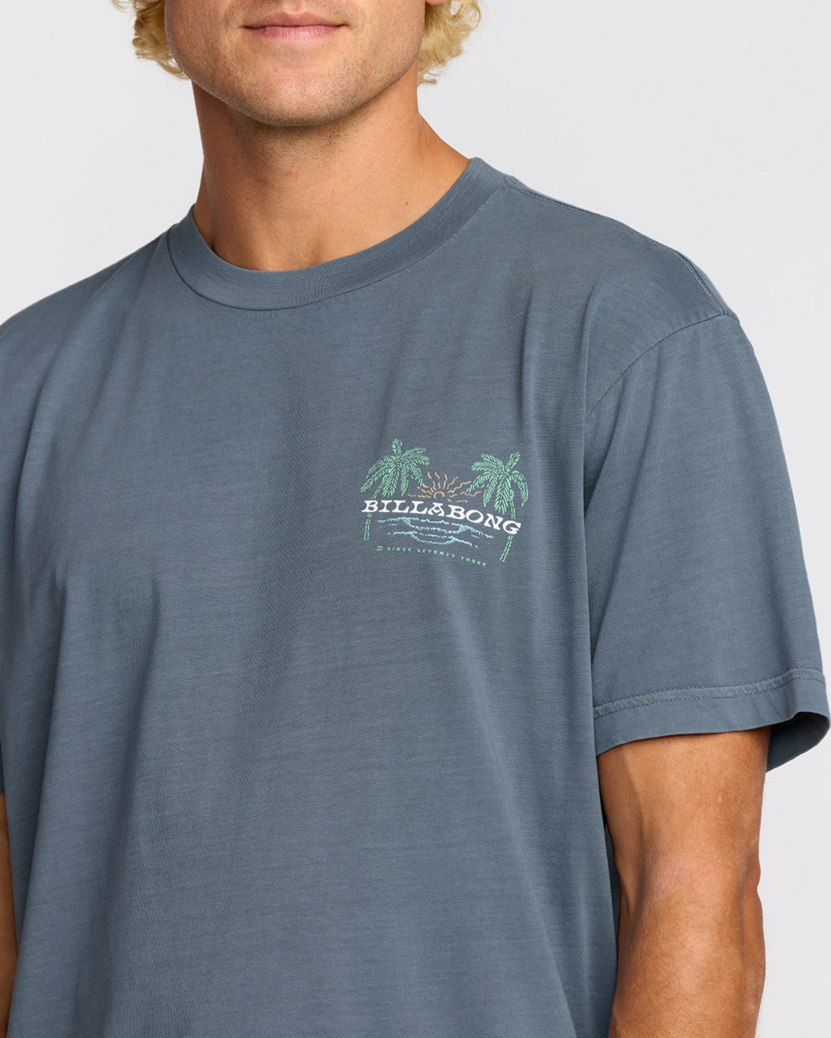 Social Lounge Premium Wave Wash Short Sleeve T-Shirt - Steel Blue | Billabong