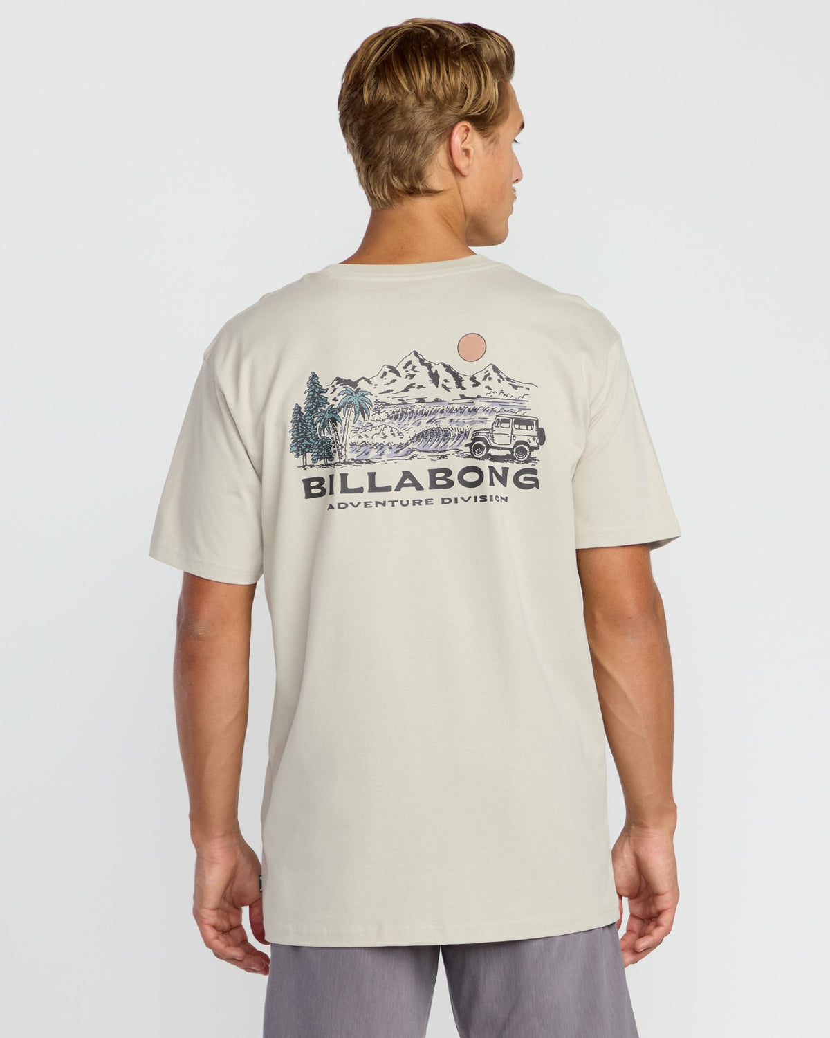 State Park A/Div Short Sleeve T-Shirt - Chino | Billabong