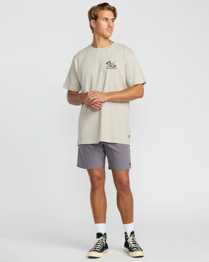 State Park A/Div Short Sleeve T-Shirt - Chino | Billabong