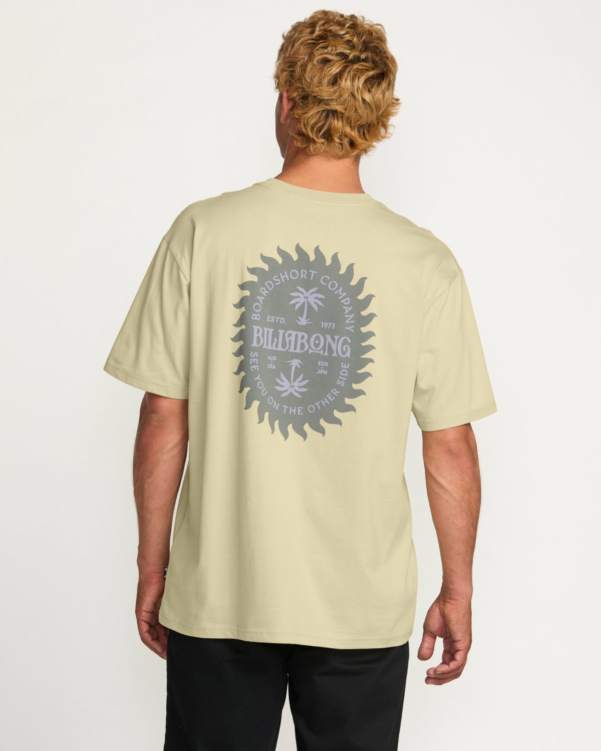 Sun Rays Regular Tee - Desert | Billabong